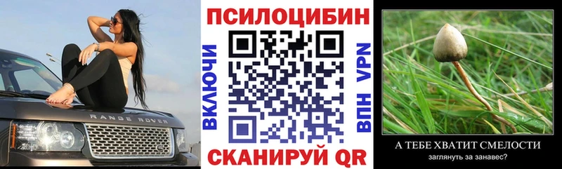 наркота  hydra вход  Псилоцибиновые грибы MAGIC MUSHROOMS  мориарти клад  Киров 