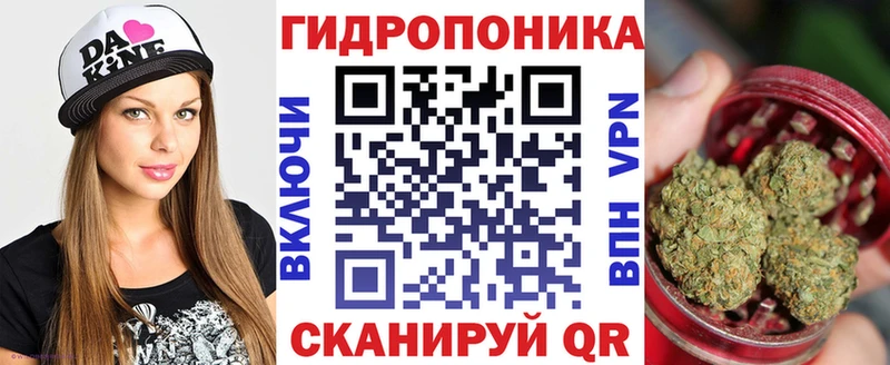 Шишки марихуана AK-47  купить  сайты  darknet официальный сайт  Киров 
